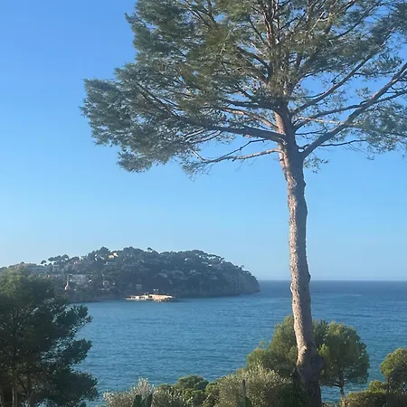 Apartment Peace & Nature Costa De La Calma